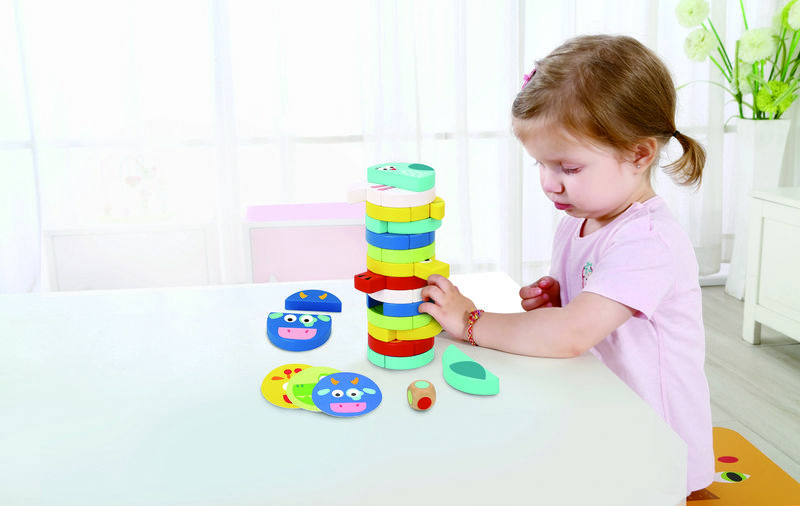 Toy