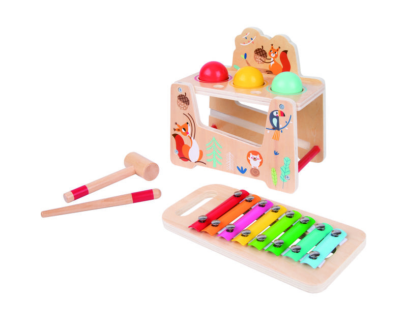 Toy