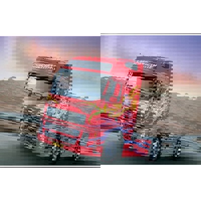 Toy