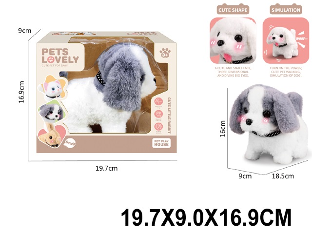 Toy