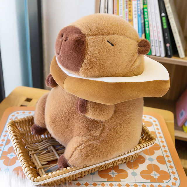 Toy
